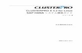 CLUSTERPRO X 4.1 for Linux SAP HANA システム構 …改版履歴 版数 改版日付 内 容 1 2019/4/10 新規作成 2 2019/6/5 動作環境にSAP HANA 2.0 SPS03 を追加 1.2