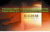 Wdrażanie MSSF w Grupie Kapitałowej KGHM Polska Miedź S.A ...siteresources.worldbank.org/EXTCENFINREPREF/... · - rzeczowych aktywów trwałych (MSR 16, MSR 29) - instrumentów