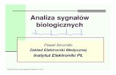 Analiza sygnałów biologicznychpstrumil.eletel.p.lodz.pl/pstrumil/elmed/03_sygnaly.pdf · 2011-03-11 · Przykłady systemów i metod analizy sygnałów echosonda, radar – detekcja