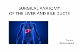 Liver and Bile Ductsimul.umlub.edu.pl/en/sites/default/files/Liver_and_Bile...suprarenal gland Left kidney Right kidney Abdominal aorta Left ureter Bladder Right suprarenal gland Spleen