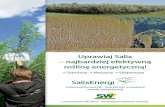 Uprawiaj Salix – najbardziej efektywną roślinę energetyczną!€¦ · Photo: Reinis Silups. Od uprawy wierzby do zrębków - Nowe odmiany Salix mogą dać o 50% większe zbiory,