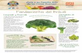 F B ˆ - Food Hero...F B ˆ B r ó c o l i e s u n a exc el nt e f u e n t e d e v i t a m i n as A, C y K. V B ˆ Brócoli Verde (Calabrese) – la variedad más común de brócoli.