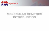 MOLECULAR GENETICS INTRODUCTION‚ad 2 ang.pdf• Transcription and translation • Regulation of gene expression • The participation of genes in the functioning and differentiation
