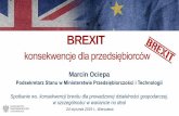 Prezentacja programu PowerPoint - IAB · Przygotowania Polski do bezumownego brexitu cz. IV • Możliwości złagodzenia skutków bezumownego brexitu na poziomie krajowym są ograniczone.