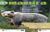 Karpackie niedźwiedzie - Magurski Park Narodowymagurskipn.pl/download/data/10_magura_gru_net_gotowa.pdf · magurski park Narodowy Krempna 59, 38-232 Krempna Tel./fax: 13 441 40 99,