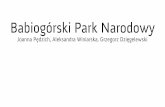 Babiogórski Park Narodowy - Jagiellonian University · Babiogórski Park Narodowy. Pieczątka ... e - mail: beskidy@gopr.pl Najliczniej reprezentowaną na Babiej Górze gru-pą zwierząt