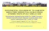 HYPOTHETICAL COLLISION OF TU-154M WITH BIRCH TREE …jfgieras.com/JFG presentation 03.pdf · Material of wooden barriers birch tree processed pine processed pine Leading edge sweep