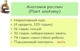 Анатомія рослин (Plant anatomy)plantphysiol-bio.univer.kharkov.ua/materials/PlAnat_lec... · 2019-10-11 · Клітинна теорія •Всі живі організми