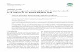 Genetic Heterogeneity of Alicyclobacillus Strains Revealed ...downloads.hindawi.com/journals/bmri/2018/9608756.pdf · pHvalues,areinsucienttoeliminate Alicyclobacillus.e sporessurvive