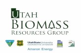 PowerPoint Presentation...Biomass Pyrolysis EXTENSION AH IOMOSS RESOURCES GROUP TAH BIOMASS RESOURCES GROUP UtahStatOUnivorsity EXTENSION EXTENSION . NEVADA PINYON-JUNIPER PARTNERSHIP