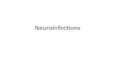 Neuroinfecons - Warszawski Uniwersytet Medyczny...Bacterial • Pneumococci - Streptococcus pneumoniae - Gram-posive bacteria • Meningococci- Neisseria meningidis - Gram negave bacteria