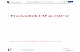 Przewodnik CAF po CAF-ie - Administracjaadministracja.mswia.gov.pl/download/58/1430/PrzewodnikCAFpoCAF.pdfPrzewodnik ten jest skierowany do osób pracujących w urzędach, a mówi
