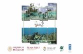 Presentación de PowerPoint - MAR Fund · Jorge Christian Alva Basurto Parque Nacional Costa Occidental de Isla Mujeres, Punta Cancún y Punta Nizuc; Área de Protección de Flora