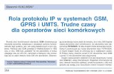 Rola protokołu IPwsystemach GSM, GPRS iUMTS. Trudne czasy ...przegladtelekomunikacyjny.pl/archive/WWW/artrec/... · Guaranteed Quality of Service”, September 1997 [11] Wroclawski