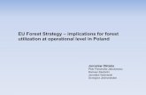 EU Forest Strategy – implications for forest utilization at operational level in Poland · 2016-09-18 · EU Forest Strategy – implications for forest utilization at operational
