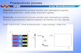 Elektrolit: przewodność jonowa określa opór wewnętrzny ogniwa.adam.mech.pw.edu.pl/~marzan/OPMEW3_Transport.pdf · Elektrolit: przewodność jonowa określa opór wewnętrzny