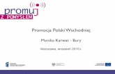 Promocja Polski Wschodniej · Informacja musi być atrakcyjna dla konkretnego środowiska. oTworzenie i udostępnianie informacji w różnych formach –od najbogatszych i szczegółowo
