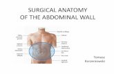 SURGICAL ANATOMY OF THE ABDOMINAL WALLimul.umlub.edu.pl/en/sites/default/files/Abdominal_Wall_and_Hernias.pdf · Anterior (straight) abdominal wall muscles in the male Right side,