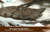 Popradzki - zpkwm.pl · prezentują się: paź królowej, paź żeglarz oraz niepylak mnemozyna. Na terenie Parku zobaczyć też można jednego z najpiękniejszych polskich chrząszczy