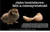 Jajka bezklatkowe: Mit a rzeczywistość · sprowadzaniu zwierząt na świat, sprawowaniu kontroli nad ich życiem i zabijaniu ich, gdy ich dalsza egzystencja przestała przynosić