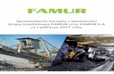 Grupy Kapitałowej FAMUR oraz FAMUR S.A za I półrocze 2017 roku › static › att › emitent › 2017-09 › Sprawozdanie… · Organizacja i zarządzanie 11 2.1. Zarząd FAMUR