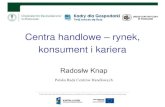 Centra handlowe – rynek, konsument i karieraue.poznan.pl/www/data/upload/image/zo/Knap2.pdf · Powierzchnia handlowa w podziale na formaty „Na polskim rynku działa ponad 400