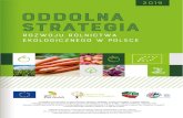 STRATEGIA ROZWOJU W POLSCE - Odrolnika.pl · sklepów spożywczych i spożywczo-przemysłowych, sklepy wielkopowierzchniowe stanowią około 6%, przy ich łącznym udziale w handlu