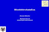 Przykład mediowanej bioelektrokatalizy – czujnik glukozybeta.chem.uw.edu.pl/people/RBilewicz/presentations/... · 2010-12-04 · 2007 Aerożele węglowe – dehydrogenaza D-fruktozy