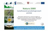 Natura 2000 - up.poznan.plete1/pliki/do pobrania/Natura2000_WLKP.pdf · Obszary specjalnej ochrony ptaków (OSO) Natura 2000 w Wielkopolsce Kod Nazwa obszaru Pow. [ha] % pow. wojew