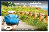Droga św. Jakuba – Camino de Santiagonazywane jest Camino de Santiago, będziesz jednocześnie mieć okazję skosztować wspaniałej kuchni północy Hiszpanii podczas tej także
