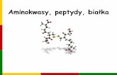 Aminokwasy, peptydy, białka - Uniwersytet Wrocławskido.chem.uni.wroc.pl/system/files/AMINOKWASY_2016.pdf · Ponad 700 aminokwasów zidentyfikowanych w przyrodzie. Większość z
