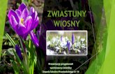 Na wiosnę zaczyna - szkola.sp24.wroclaw.plszkola.sp24.wroclaw.pl/wp-content/uploads/2020/03/ZWIASTUNY-WI… · Na wiosnęprzylatujądo nas jaskółki, które na zimęodleciałydo