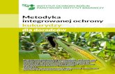 Metodyka integrowanej ochrony kukurydzy2452,metodyka... · Program Wieloletni Instytutu Ochrony Roślin – PIB 2016–2020 „Ochrona roślin uprawnych z uwzględnieniem bezpieczeństwa