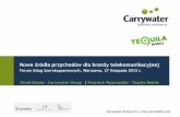 Nowe źródła przychodów dla branży telekomunikacyjnejcarrywater.com/wp-content/uploads/2012/11/Carrywater-Group-FUS.pdfNajchętniej kupuje usługi w pakiecie Ponad 2,6 mln osób
