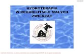 HYDROTERAPIA W REHABILITACJI MAŁYCH ZWIERZĄTespz.pl/zoofizjo/Hydro.pdf · ESPZiWP materiały szkoleniowe do użytku uczestników kursu zoopsycholog w ESPZiWP, nie ma zgody na kopiowanie