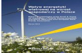 Wpływ energetyki wiatrowej na wzrost gospodarczy w Polscepsew.pl/wp-content/uploads/2019/02/PSEW-Raport-Wp... · inwestowanie w energetykę wiatrową w Polsce. W ciągu czterech