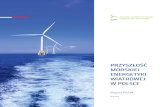 PRZYSZŁOŚĆ MORSKIEJ ENERGETYKI WIATROWEJ W POLSCEpsew.pl/wp-content/uploads/2019/06/Przyszłość... · wiatru w najbardziej korzystnych warunkach – na morzu i Zmiana struktury