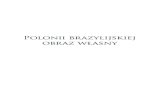 Polonii brazylijskiej obraz własny › arquivos › zapiski.pdf · Brazylia jako kraj fascynuje jednak nie tylko swoją wielkością, pędem rozwoju gospodarczego w ostatniej dekadzie,