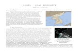 KOREA – KRAJ ROZDARTYamconsulting.intellibit.com/am_stories/Korea kraj rozdarty.pdf · 1 Półwysep koreański Aktualne nocne zdjęcie satelitarne półwyspu koreańskiego; Północna