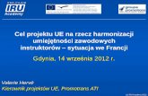 Cel projektu UE na rzecz harmonizacji - IRU · Zezwolenie na przeprowadzanie szkolenia na „ŚKZ”: Zezwolenie jest wydawane przez właściwe lokalne władze w imieniu Ministerstwa