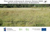 Plan zadań ochronnych obszaru Natura 2000 Mechowiska ... · rzeczy do pilnego zrobienia”, koniecznych z ... Wizja długoterminowa= stan właściwy (FV) wg takich kryteriów, ...