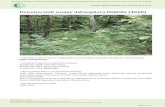 Dzwonecznik wonny Adenophora liliifolia (4068)siedliska.gios.gov.pl/images/pliki_pdf/wyniki/2013... · m2 dla stanowisk z jednym osobnikiem (Wierzchowiska, Cyganka) do kilku ha (Krzemionki