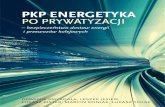 PKP Energetyka po prywatyzacji – bezpieczeństwo dostaw ... · naukami o bezpieczeństwie (ze szczególnym uwzględnieniem roli infra-struktury krytycznej), elektroenergetyką,