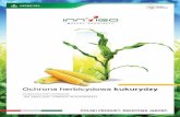 SKUTECZNE ZWALCZANIE CHWASTÓW · 2020-03-18 · 2 2020 Obecnie uprawa kukurydzy to nie tylko produk-cja wysokiej jakości pasz objętościowych i ener- getycznych lecz także uprawa