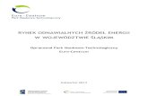 RYNEK ODNAWIALNYCH ŹRÓDEŁ ENERGII W ...pnt.euro-centrum.com.pl/files/post/830/Rynek...Energia promieniowania słonecznego na skutek naturalnych procesów dokonujących się w biosferze