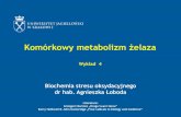 Komórkowy metabolizm żelaza - Jagiellonian Universitybiotka.mol.uj.edu.pl › zbm › handouts › 2015 › AL › wyklad_4... · - DMT1 (Nramp2, DCT1) jest symporterem (Me2 +/H