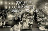 Spanish Flu 100 - thaists.orgthaists.org › pdf › thaists_spanish_flu-290363.pdf · •สงครามโลกครั้งที่ 1 จบลง •ทหารอเมริกันไปรบที่ยุโรป