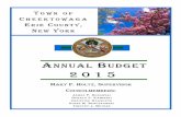 A B 2015 - Cheektowaga › wp-content › uploads › 2019 › 08 › ... · 2015 Budget Introductory Section ... that they are fiscally prudent with your taxpayer dollars. - ii –