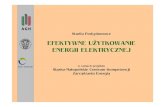 EFEKTYWNE UŻYTKOWANIE ENERGII ELEKTRYCZNEJ › materialy › AK_wprowadzenie.pdf · 2012-12-07 · ENERGETYCZNYCH CZ ŁOWIEKA PRZY JAK ... Skumulowane oszczędności energii ŹRÓDŁO: