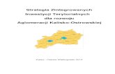 Strategia Zintegrowanych Inwestycji Terytorialnych …bip.ostrow-wielkopolski.um.gov.pl/bip/files/8035772CE...Projekt współfinansowany ze środków Unii Europejskiej w ramach Programu